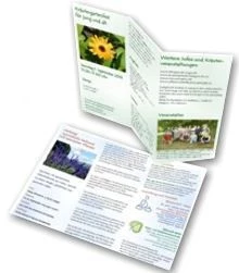 Layout Flyer